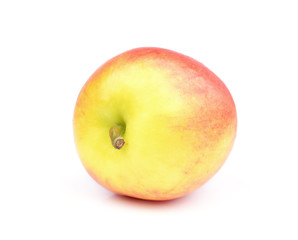 apple on a white background