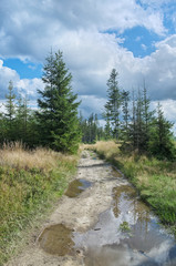 Pathway in mountain.