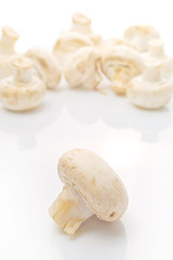 Fresh edible Portabello Mushroom Champignon over white backgroun