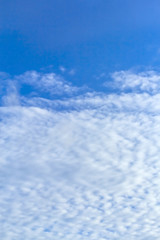 Naklejka premium Blue sky