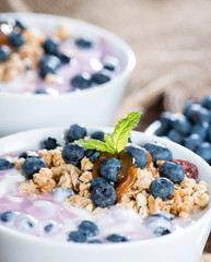 Fresh made Blueberry Yogurt