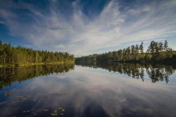 Swedish Lakeview