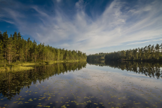 Swedish Lakeview
