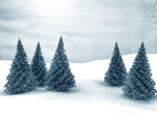 Winter scene Christmas Trees