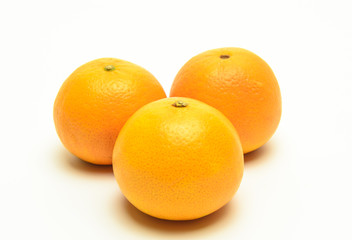 oranges isolated
