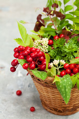 Bouquet of autumn flowers and berries in basket