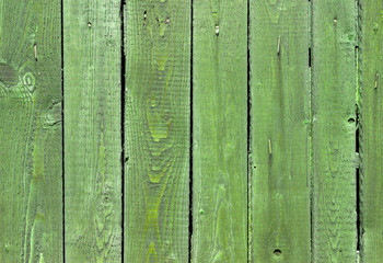 The green wood texture with natural patterns