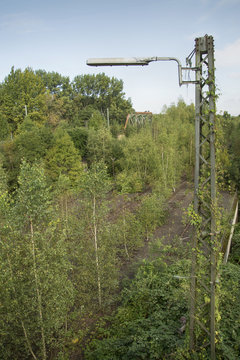 Stillgelegter G&uuml;terbahnhof Dortmund Huckarde, Deutschland