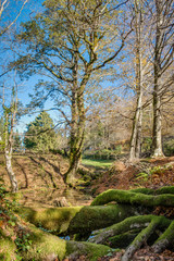 Autumn view of national park of geres