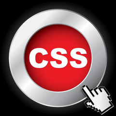 CSS ICON
