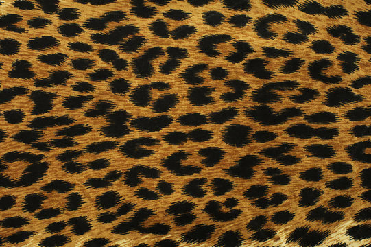 Black leopard spots