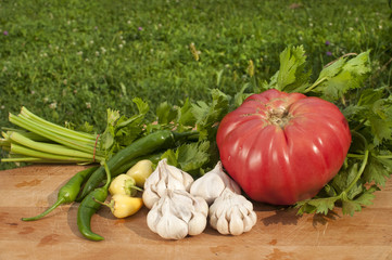 Organic tomato, celery, cloves of garlic and chili peppers