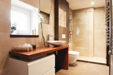 Modern private bathroom interior 