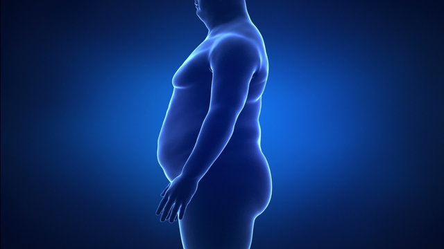 Obesity and healthy life style concept lateral view