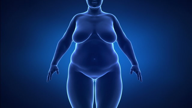 Obesity and healthy life style concept anterior view detail
