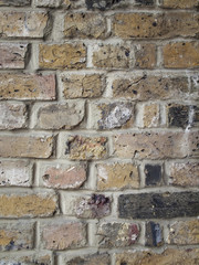 brick wall