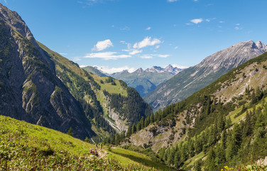 Naklejka premium Alpen