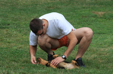 Mongrel dog