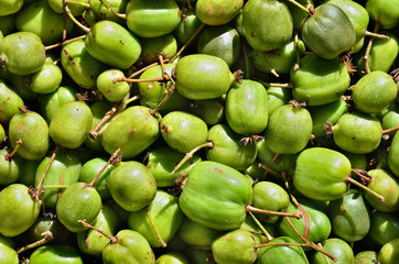 Berries of Far-East 17