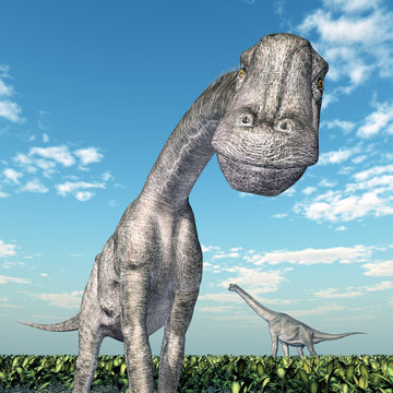 Dinosaur Brachiosaurus