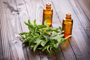 Fresh mint and aroma oil