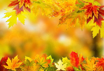 Naklejka na ściany i meble autumn background 1