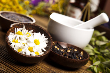 Natural medicine, herbs, mortar