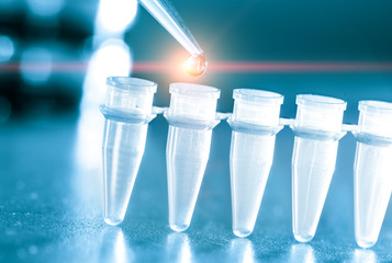 Microbiological test tubes and pipette