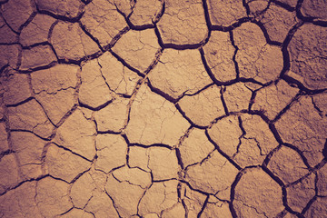 Dry soil during the drought