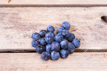 sloes