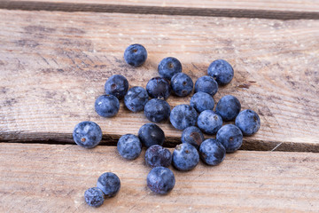 sloes