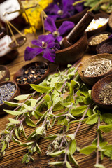 Fototapeta na wymiar Fresh medicinal herbs on wooden 