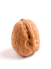 Walnut isolated on white