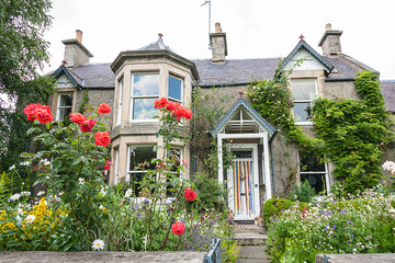 Old, British house with window and climbing roses