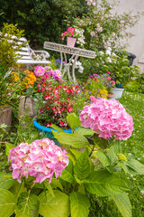 Home garden in blossom