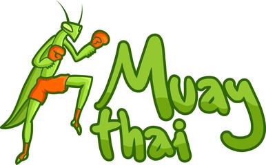 Muay thai card