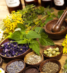 Fresh medicinal herbs on wooden 