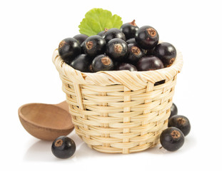 black currants on white