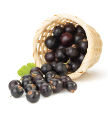 black currants on white