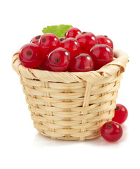 red currants on white