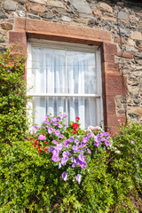 Fototapeta na wymiar Beautiful flowers and old window