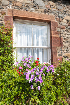 Beautiful flowers and old window