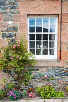 A window with flowers