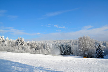 Winter Piste Skihang