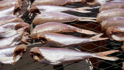 Drying fish on the net
