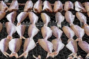 Fish drying on the net