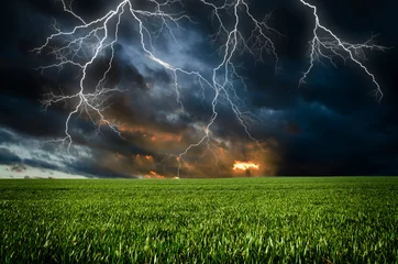 Photo sur Plexiglas Orage Thunderstorm with lightning in green meadow