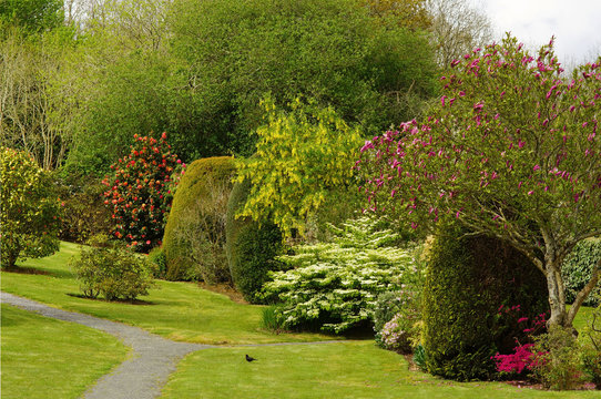Blühende Parkanlage im Frühling mit Amsel