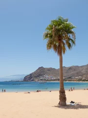 Foto op Plexiglas Las Teresitas Beach on Tenerife © fuchsphotography
