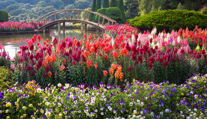 Obrazy na Szkle  Ogród z kwiatami